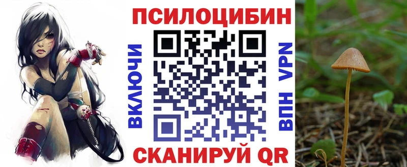 OMG вход  Голицыно  Псилоцибиновые грибы MAGIC MUSHROOMS 